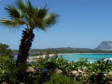 Uitzicht over de baai van het beach resort - Strandvakantie Sardinie